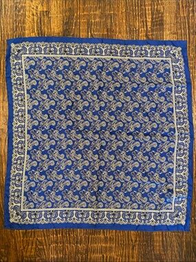 Pineda Covalin Mexico Blue & Cream Print Silk Scarf / Wrap